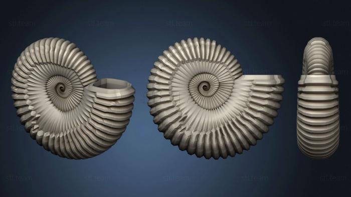 Вазы Ammonite